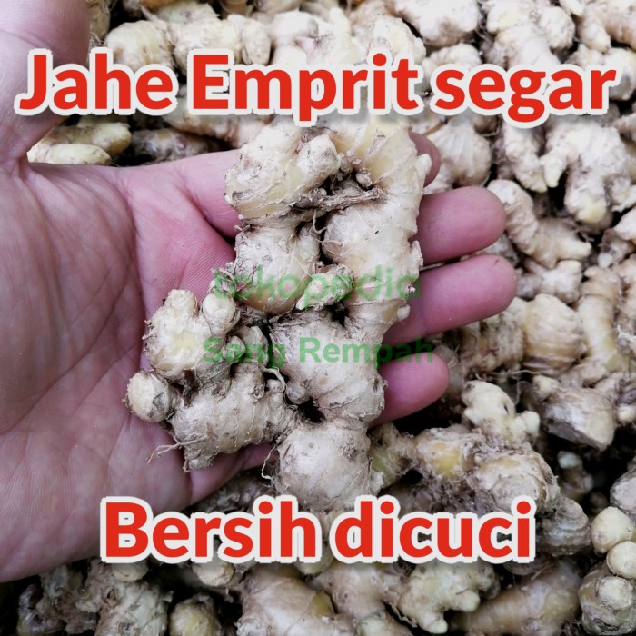 

Jahe Emprit Jawa 1 Kg Harga Promo