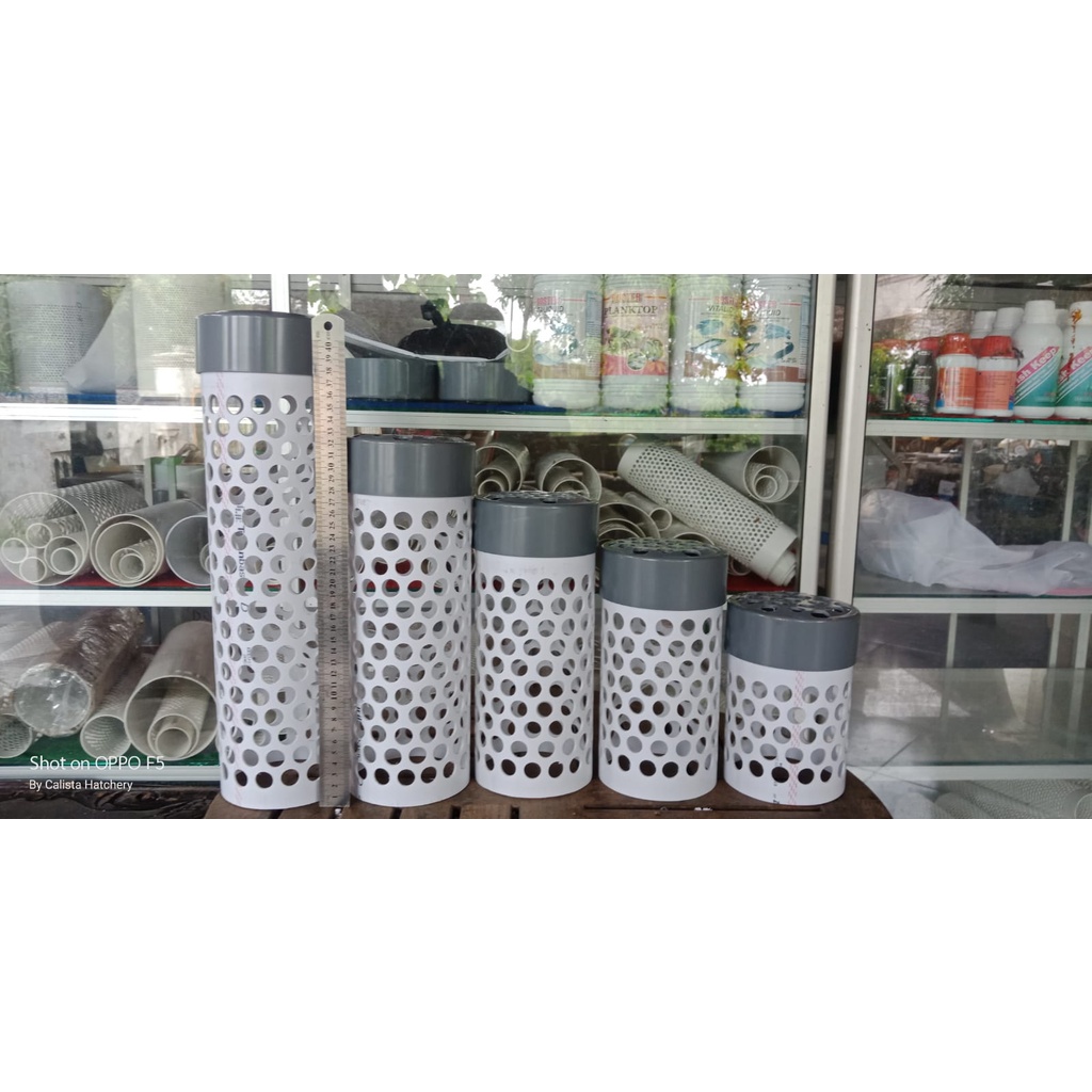 Filter kolam paralon 4inch lubang 16mm+Tutup berlubang Terlaris