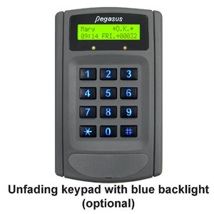 

Time Access Controller PP6750VXNR5 Ori Pongee Pegasus Taiwan x Card