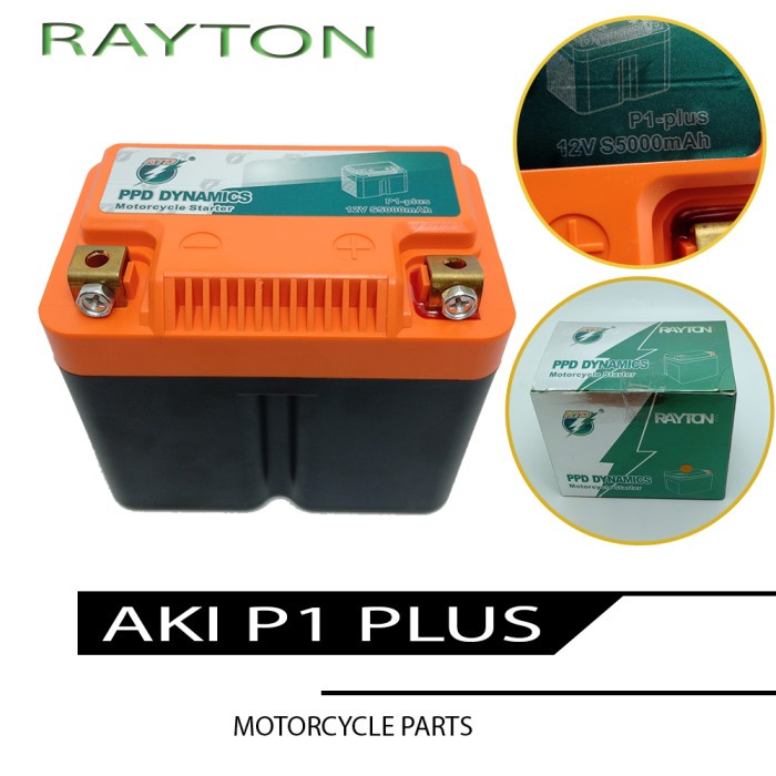 TERLARIS RAYTON Aki Baterai Lithium Iron Phospate LIFEPO4 Recharge Premium Aki