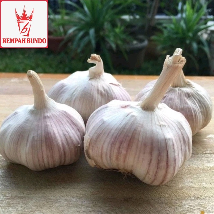 

Sale! Bawang Putih Honan / Banci Kulit 1 Kg