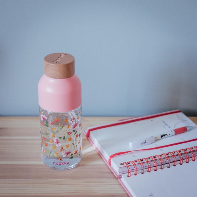 Quokka Ecozen Bottle Ice 570ml