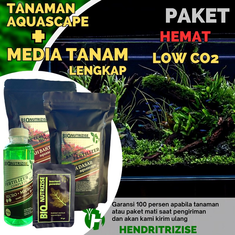 Paket Tanaman Aquascape Low Co2 & Low Light - Tanaman Aquarium -Tumbuhan Air - Tanaman Aquascape