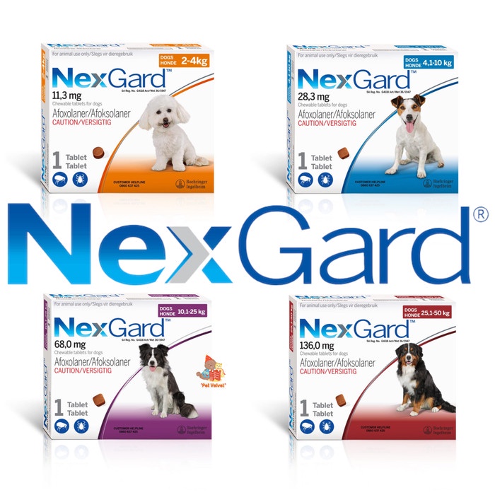 Nexgard - Obat Kutu Anjing All Size / Original Merial