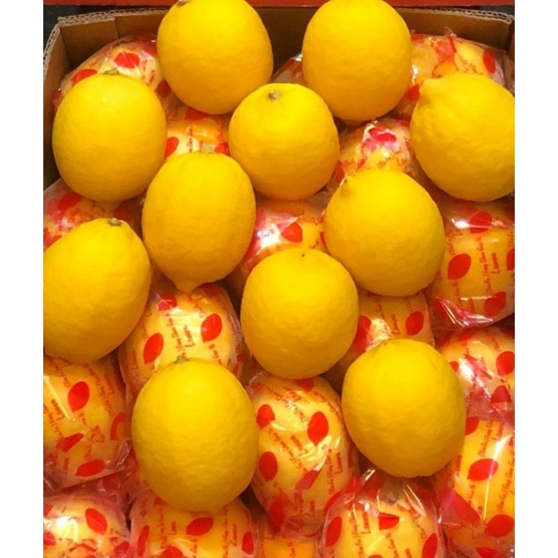 

JERUK LEMON CINA POHON 1 KG