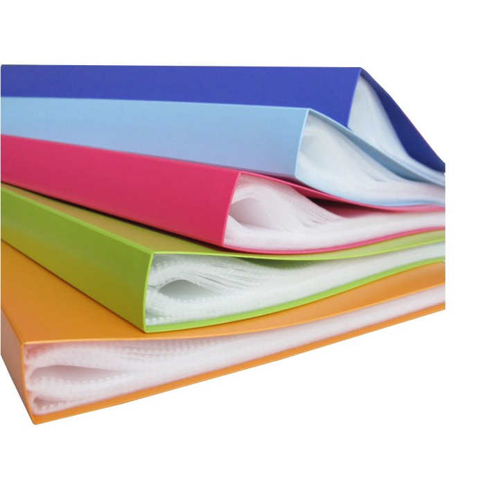 

[tmr] - EAGLE FILES Clear Holder Document Keeper Display Book Map A4 60 Pocket