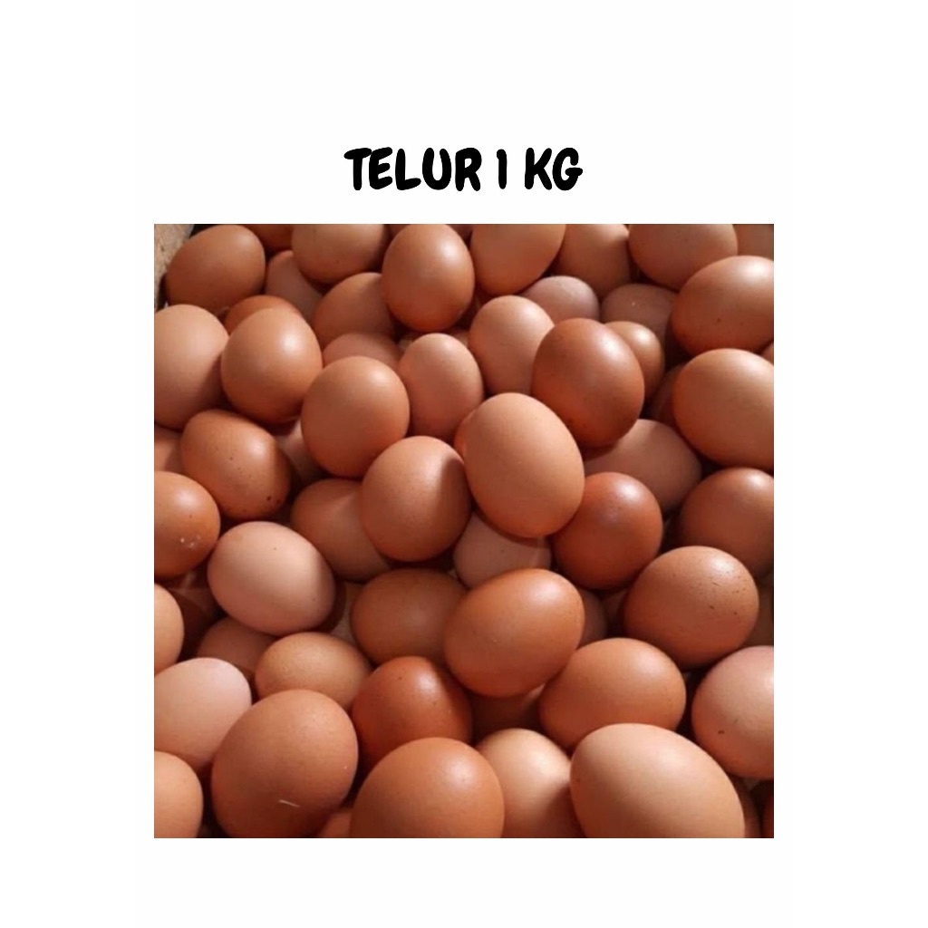 

Telur Ayam Negeri Per Kg Telor Ayam Khusus Instan