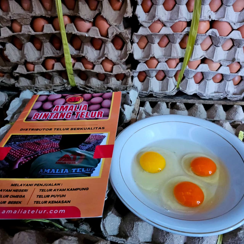 

Telur Omega 1kg