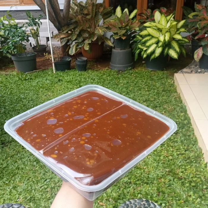 Dodol Seserahan Mika/Dodol Buat Lamaran Betawi
