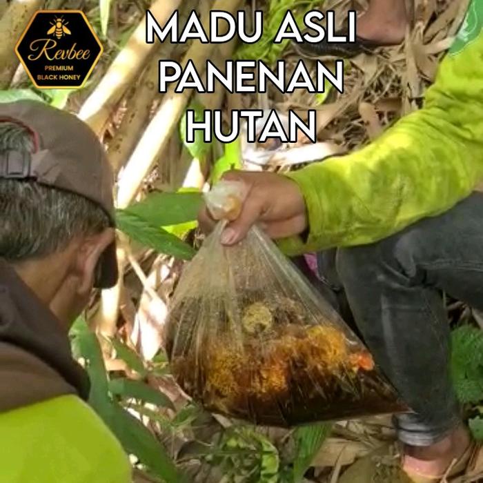

Madu Asli Original Hutan Recommend Rasa Eksotik Mengandung Propolis Dan Royal Jelly Honey Herbal