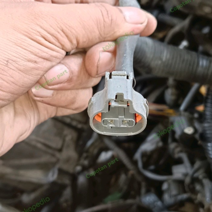 Soket Sensor iat Avanza Xenia Rush Terios