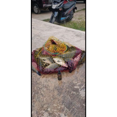 PROMO HEMAT Esen Essen Essence ikan super JM PREMIUM 30 ML Essen ikan mas nila lele bawal patin