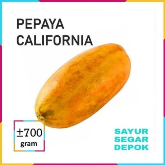 

HJK Buah pepaya california