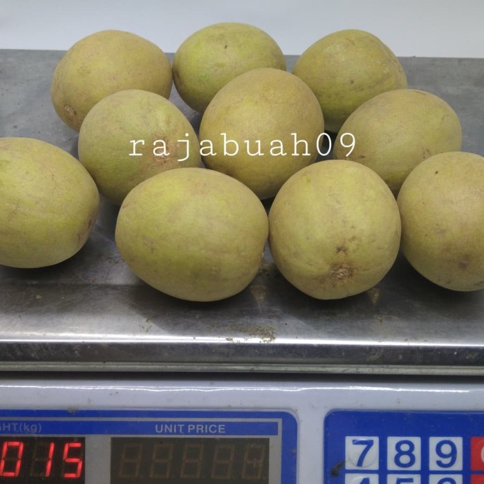 

HJK Buah Sawo Manis Fresh 1 kg