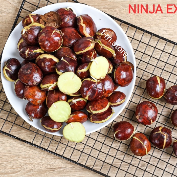 

HJK jengkol tua mentah xtra super besar 1kg / 1000gr