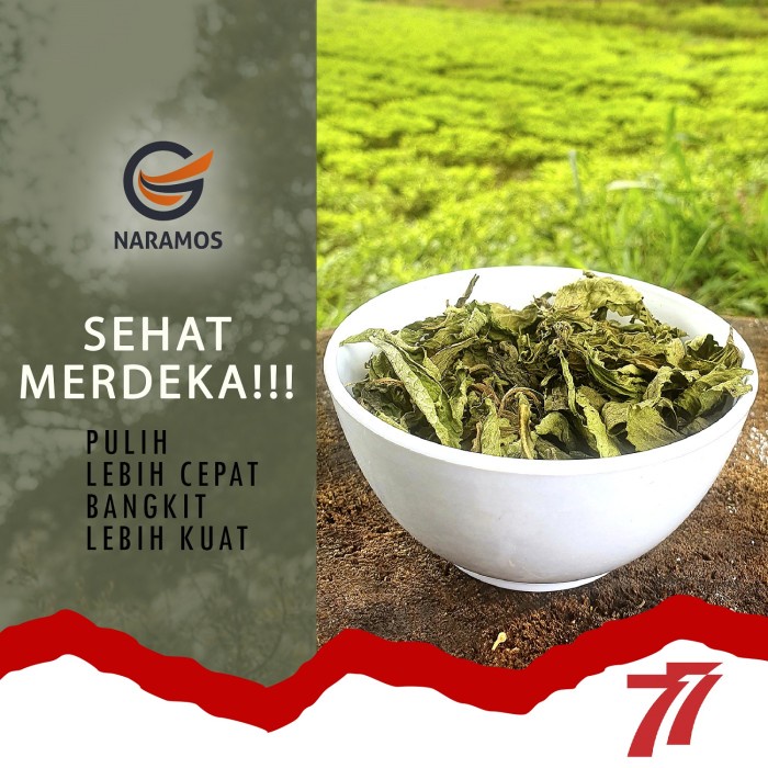 

HJK daun stevia kering alami 100gr (daun murni)