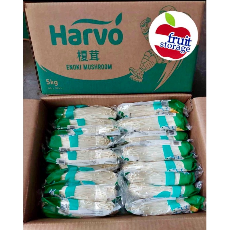 

Jamur Enoki 1 dus 50 pack grosir segar mushroom