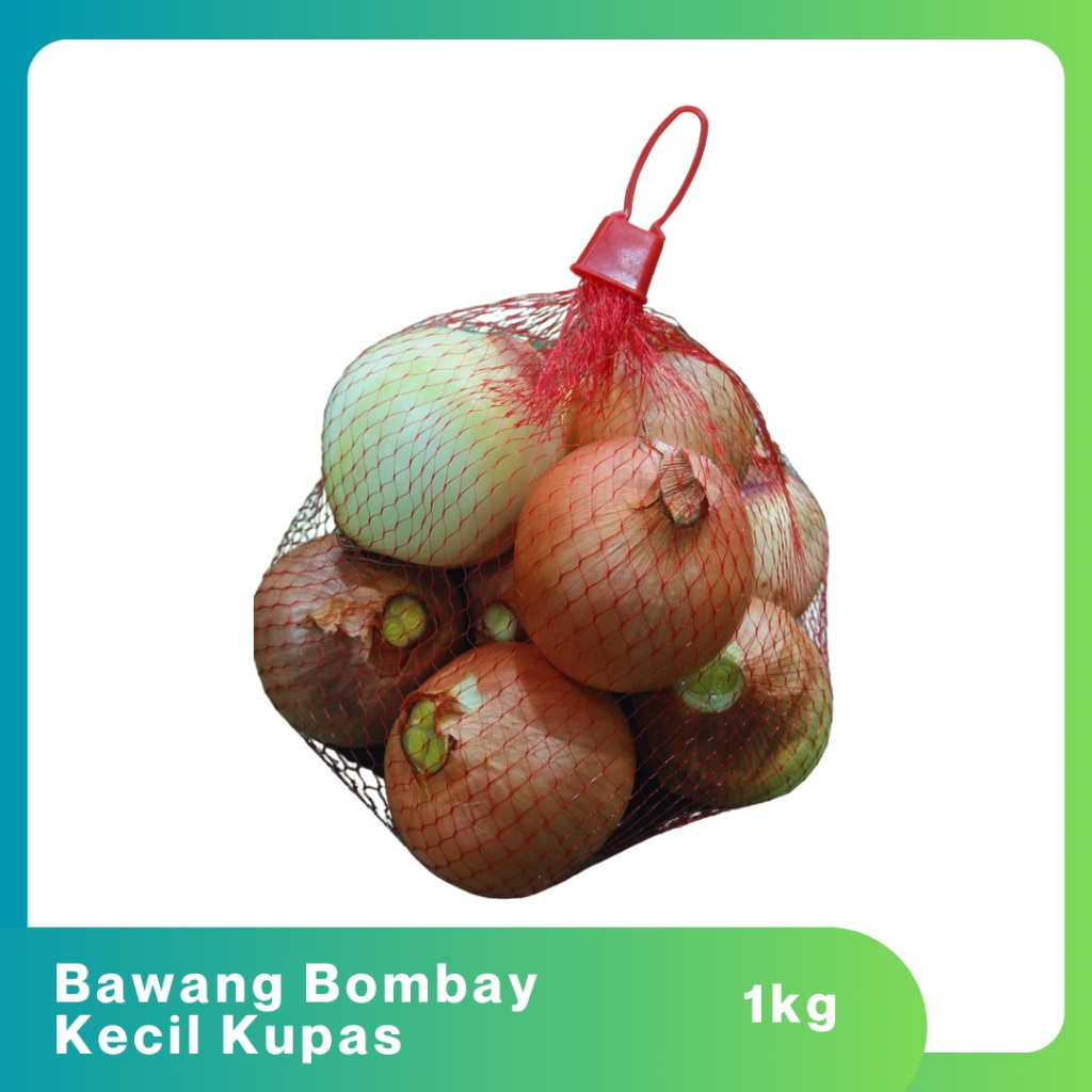 

Bawang bombay botak kulit terkelupas 1KG termurah