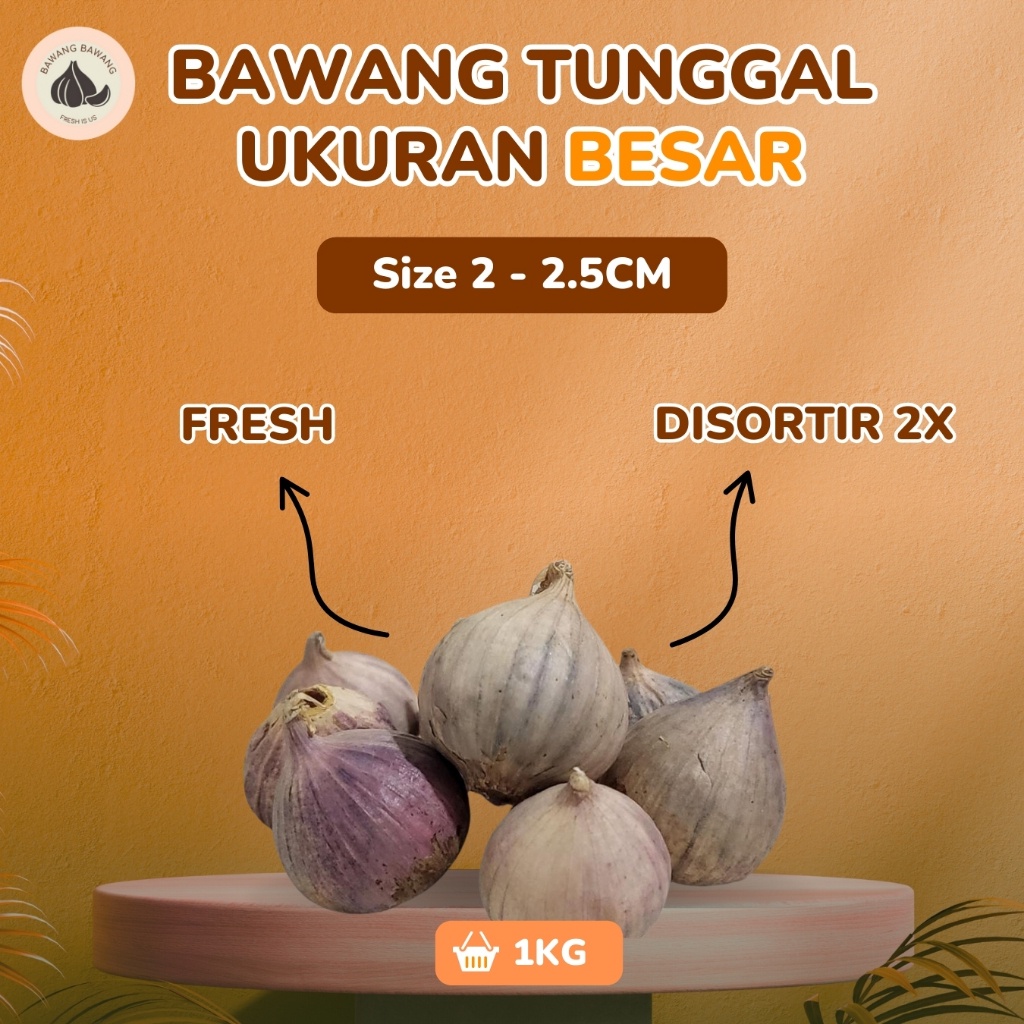 

Bawang Putih Tunggal Lanang Besar 1KG 2-2.5 cm