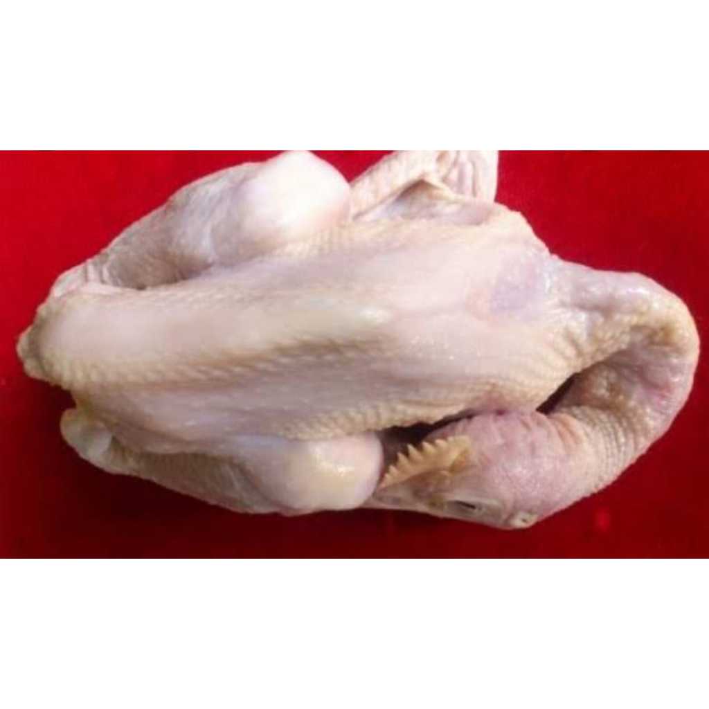 

Ayam Pejantan Fresh