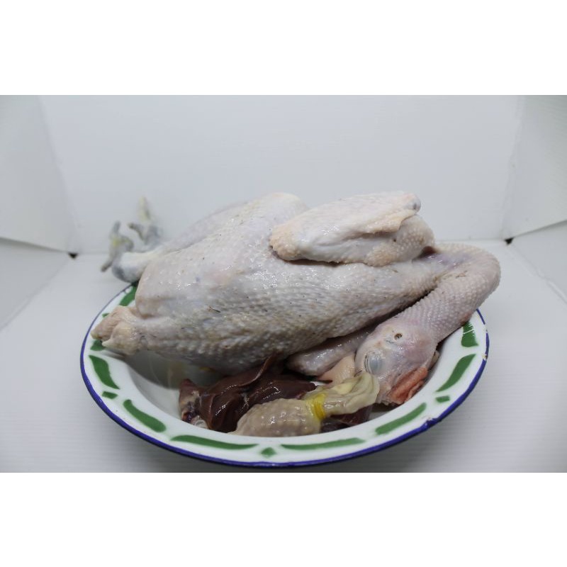 

Ayam kampung potong fresh UK 8ons - 1.2kg hidup + potongan halal