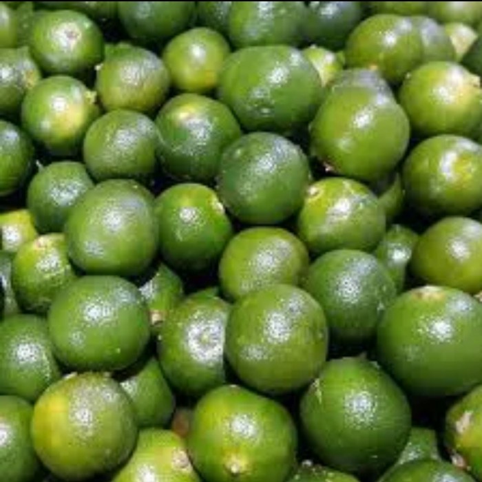 

SPECIAL Jeruk Sonkit / Jeruk Kunci / Lemon Cui Segar Fresh