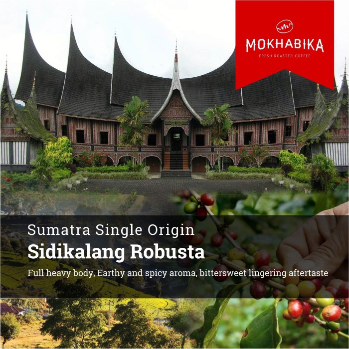 

JH8 Mokhabika Sumatra Robusta Sidikalang 1000 Gr