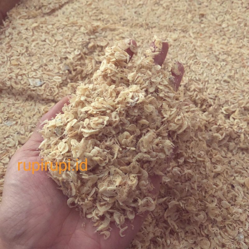 

AQS Ikan Asin Rebon Kering Murah 1 Kg Rebon Grosir