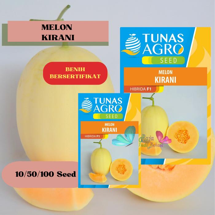 Promo Terbatas Biji Benih Melon Kirani F1 Ori - Repack 100 Bibit Melon Premium Jepang Aman