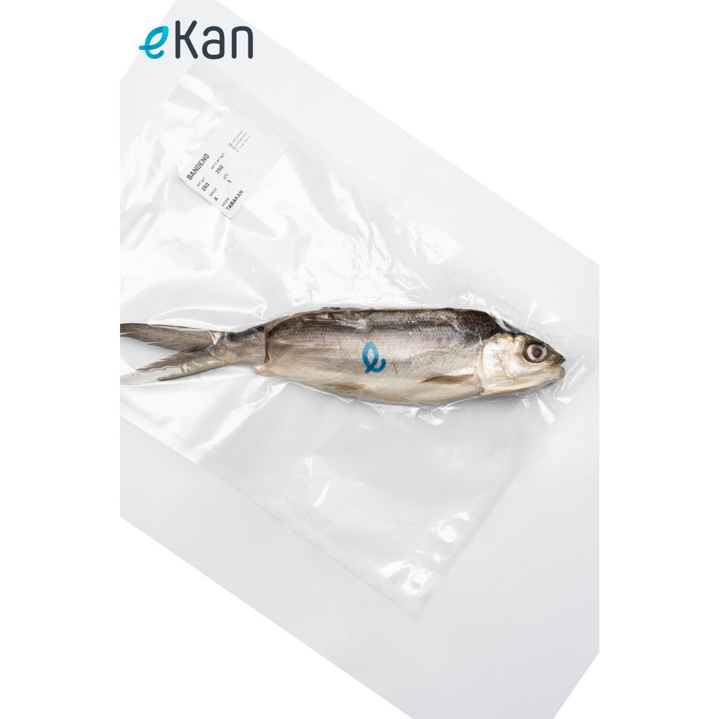 

Ikan Bandeng Cabut Duri Frozen 250 - 300gr