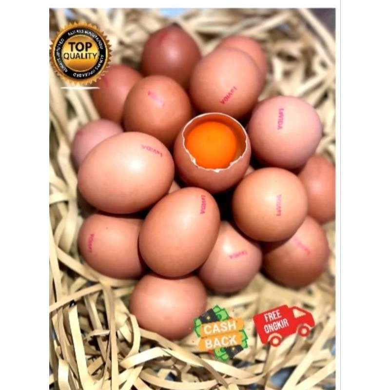 

TELUR NEGERI OMEGA+ TRAY TELUR / JAMIN SEGAR