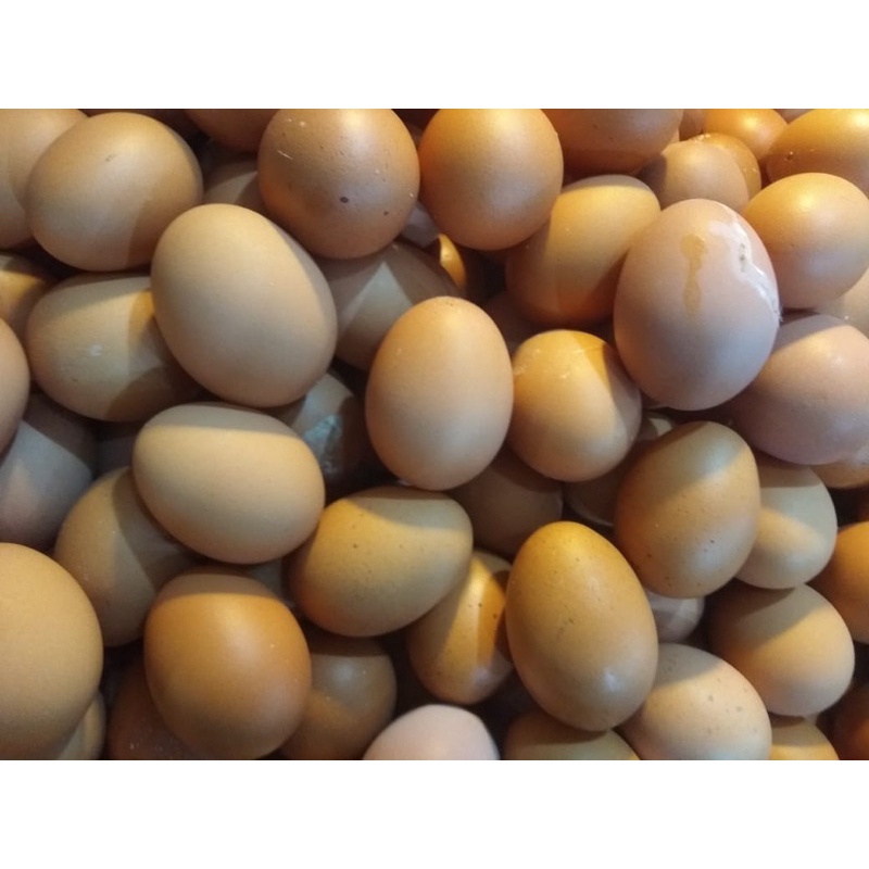 

telor ayam negri 1kg Rp 32.000