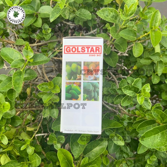 JTTOP" PUPUK MEMPERCEPAT BUAH GOLDSTAR 30ML