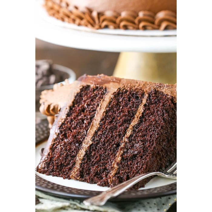 

Puratos Moist chocolate cake premix 500gr repack / tepung premix cake