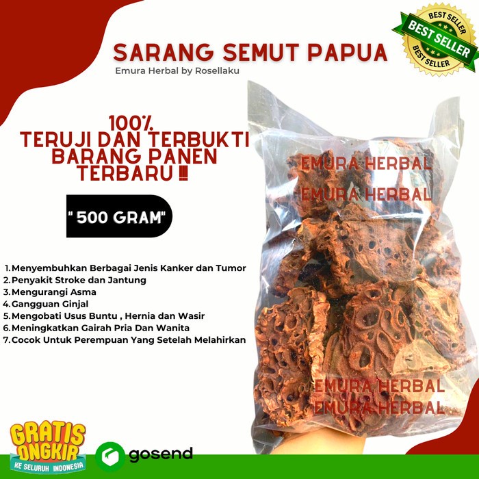 

(Good) SARANG SEMUT ASLI PAPUA 500 Gr/Obat Kanker Tumor/Obat Stroke/Obat Asma