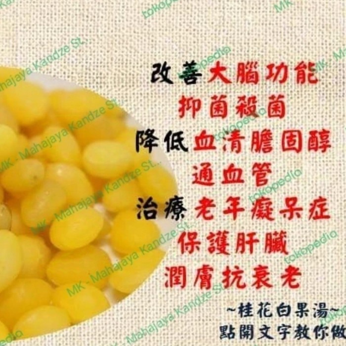 

Buah Pat Ko Ginko Giloba Nut Kacang Ginkgo Biloba Murni Kering Bai Ko