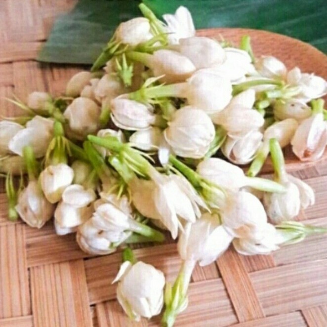 KEMBANG TELENG BUNGA MELATI KENANGA KANTIL PUTIH