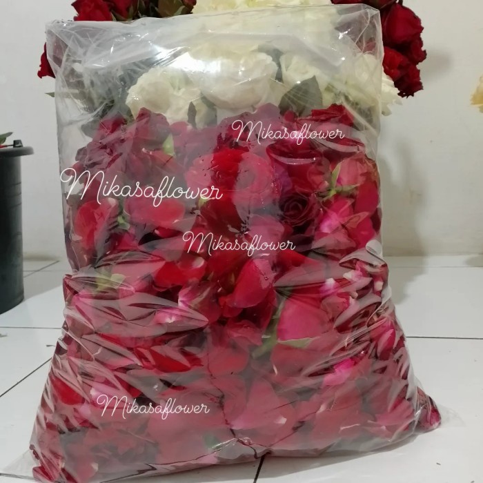 BUNGA TABUR KELOPAK MAWAR MERAH MIX KUNTUM BUNGA BUNGA ASLI FRESH