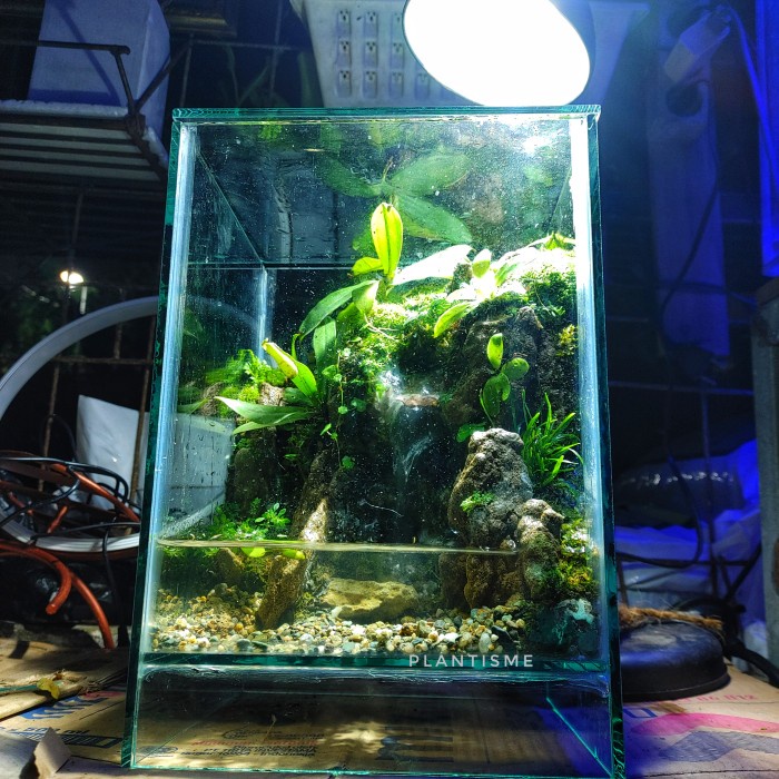 GoGreen Star 20x20x30cm Fullset Paludarium Waterfall Aquarium Air Terjun