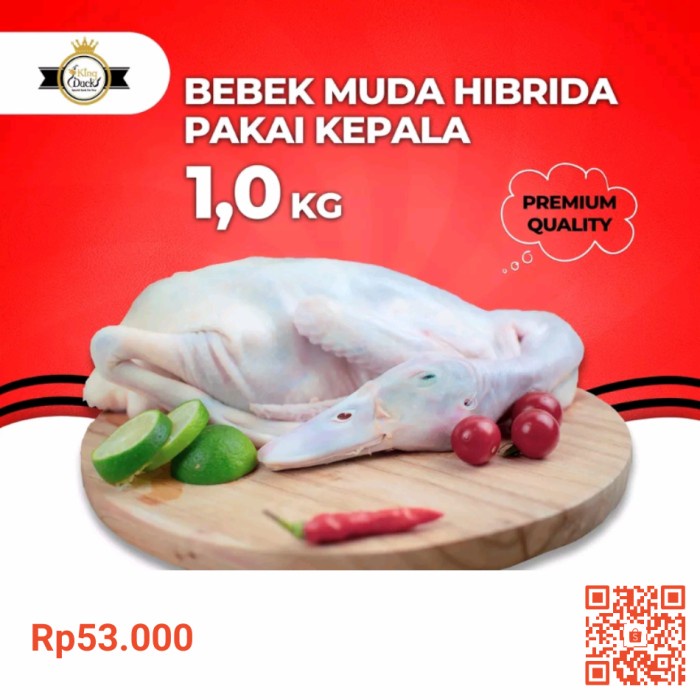 

[1KG]Daging Bebek Hibrida Fresh / Frozen