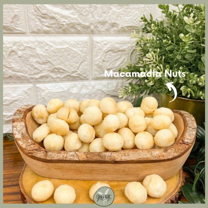 

Macadamia Nut 100 Gr Premium / Kacang Macadamia 100 Gr Premium