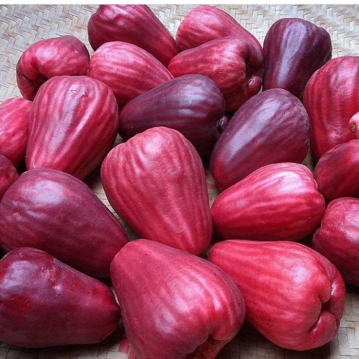 [BestSeller] buah jambu bol jamaika super 1 kg fresh