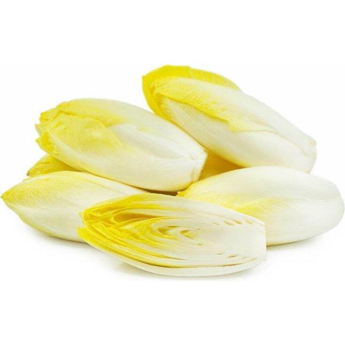 Biji Benih sayuran Belgian Endive