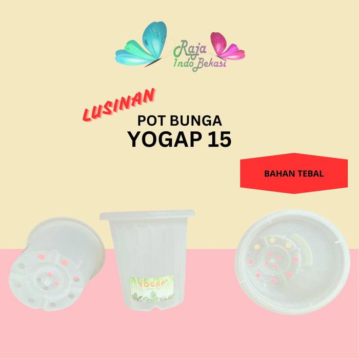 LUSINAN Pot Yogap 15 isi 12 pcs Pot Yogap 15 Putih Transparan Merah Bata Pot Bunga Hias Aglonema Pot