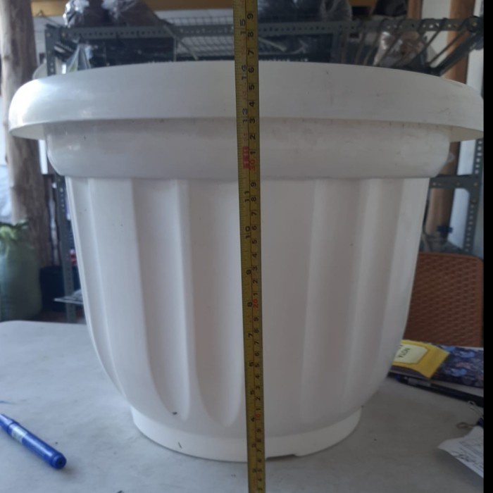 Pot Besar 50cm Tanaman 50cm PUTIH Pondok Gede