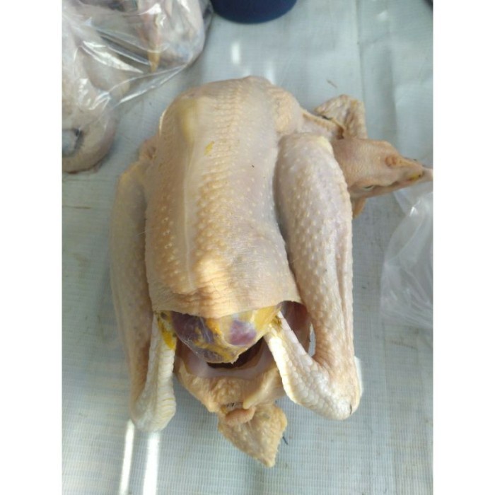 

(BestSeller) AYAM KAMPUNG MEDIUM 725-800 gr