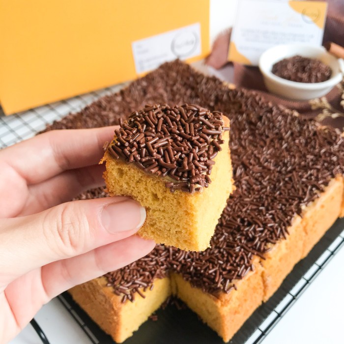 

Bolu Jadoel Cake Rasa Mocca