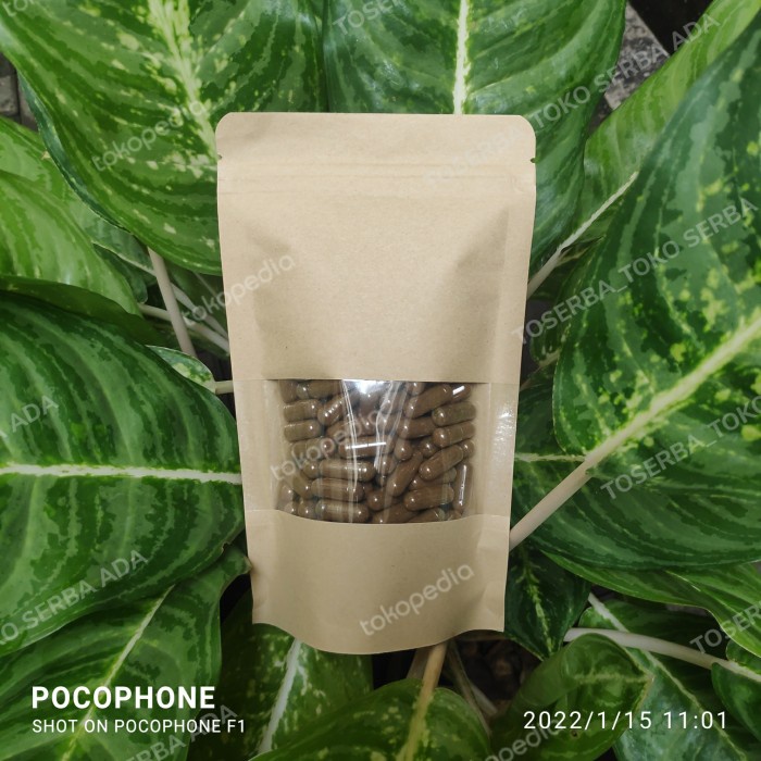 

120 Kapsul Yin Xing Ye Daun Gingko Biloba Herbal Vertigo Sehat Otak