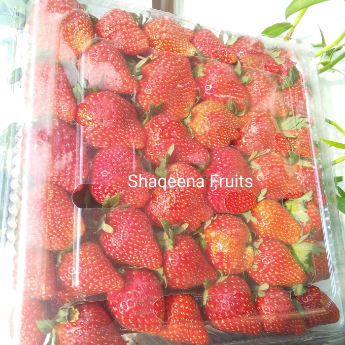 

Strawberry Segar Organic Fresh Jepang Japan 1Kg