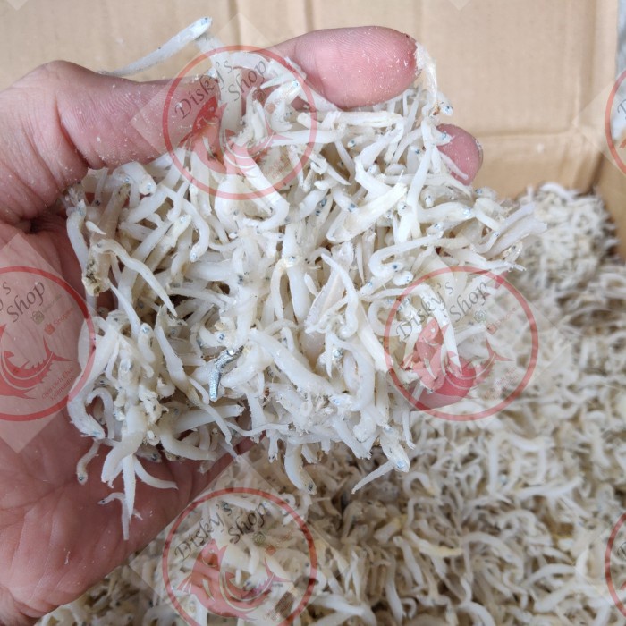 

Ikan Teri Medan 1 Kg Grade A